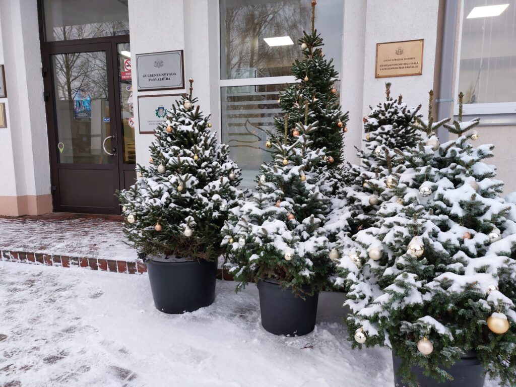 Dzirkstele.lv raksta attēla aizvietotājs