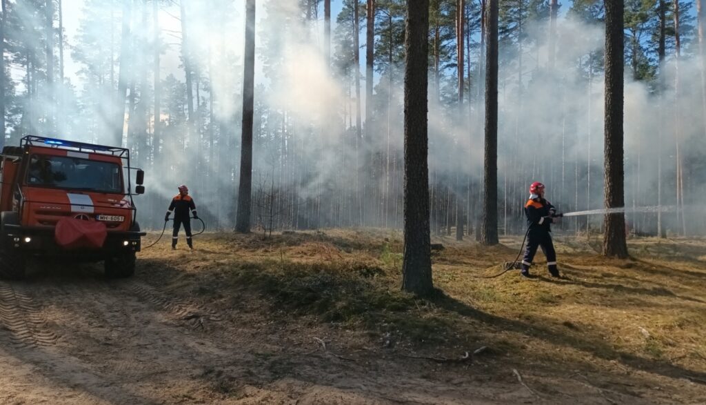 Dzirkstele.lv raksta attēla aizvietotājs