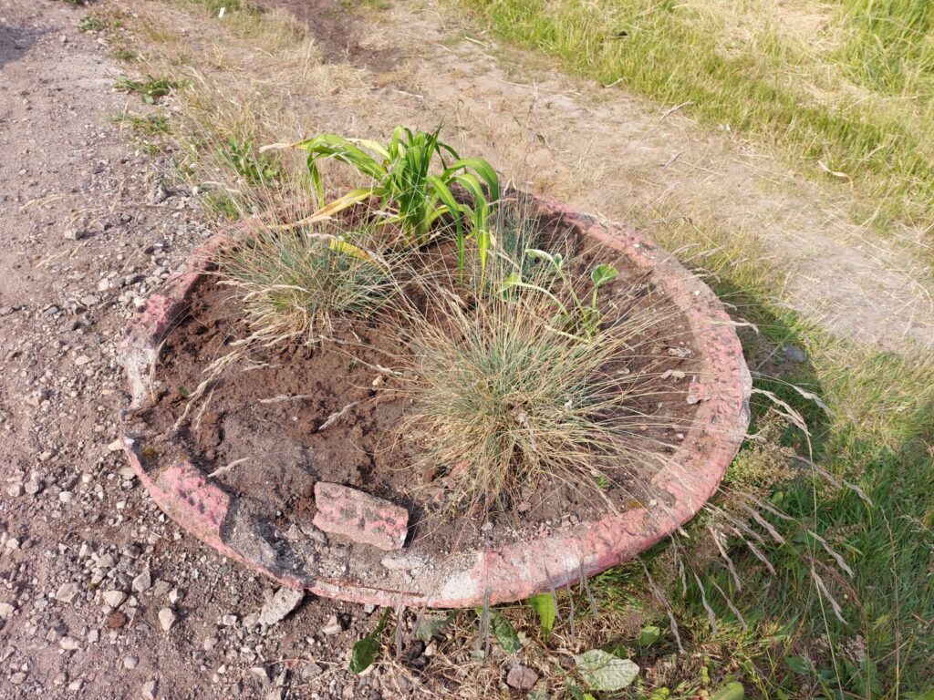 Dzirkstele.lv raksta attēla aizvietotājs