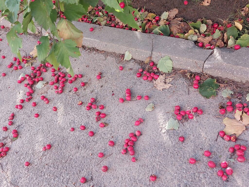 Dzirkstele.lv raksta attēla aizvietotājs