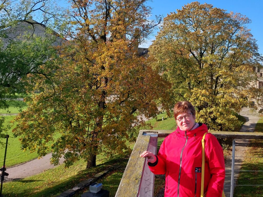 Dzirkstele.lv raksta attēla aizvietotājs