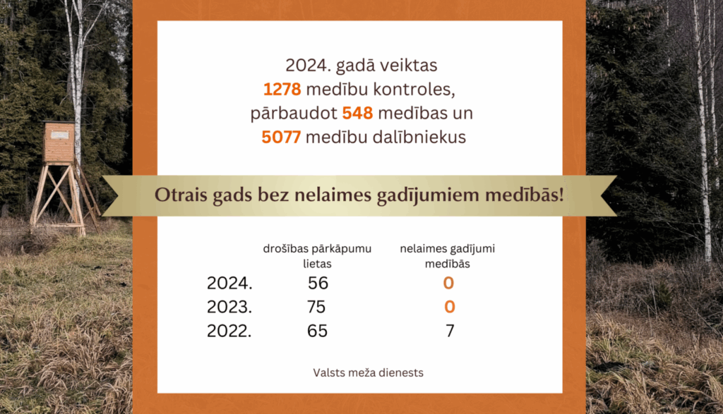 Dzirkstele.lv raksta attēla aizvietotājs