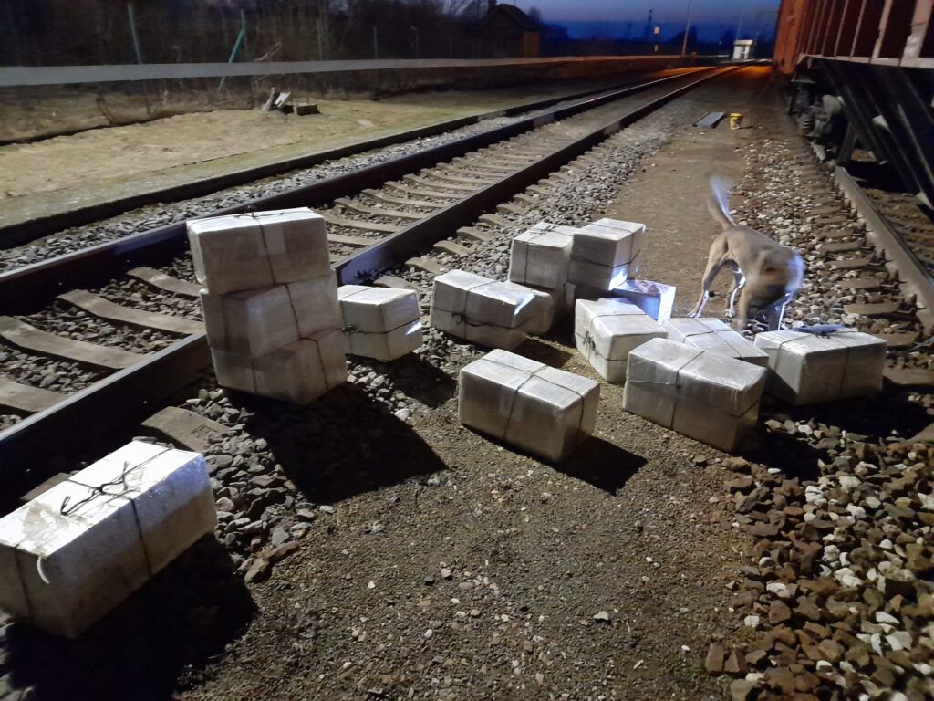Dzirkstele.lv raksta attēla aizvietotājs