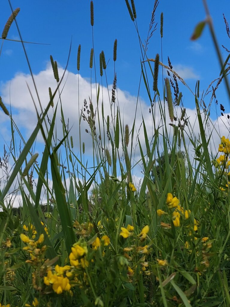 Dzirkstele.lv raksta attēla aizvietotājs