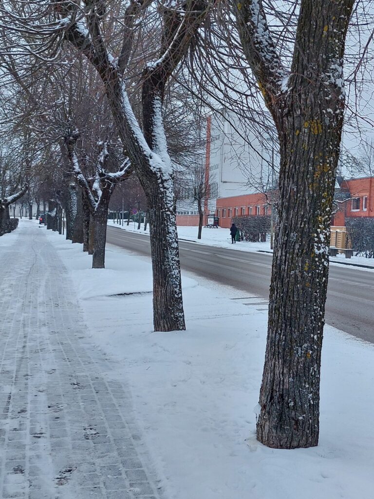 Dzirkstele.lv raksta attēla aizvietotājs