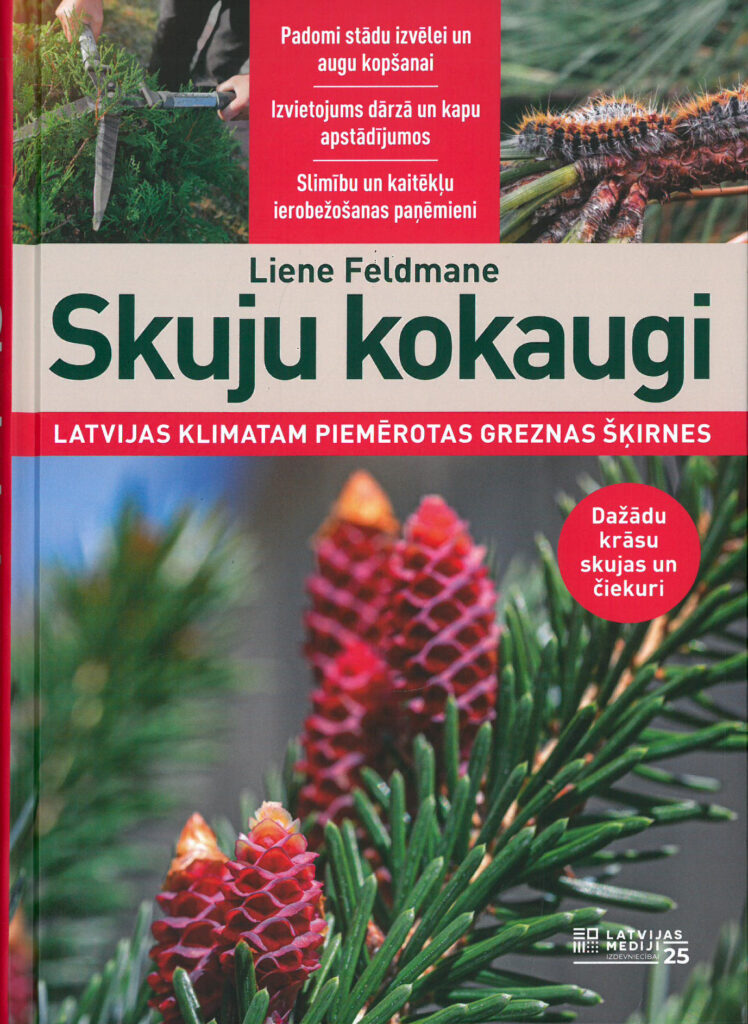Dzirkstele.lv raksta attēla aizvietotājs