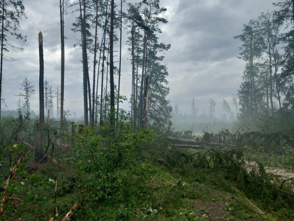 Dzirkstele.lv raksta attēla aizvietotājs