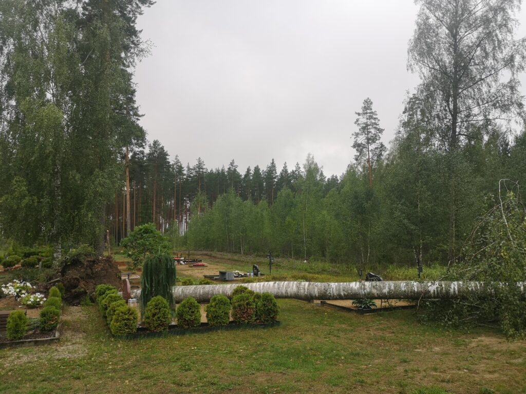 Dzirkstele.lv raksta attēla aizvietotājs