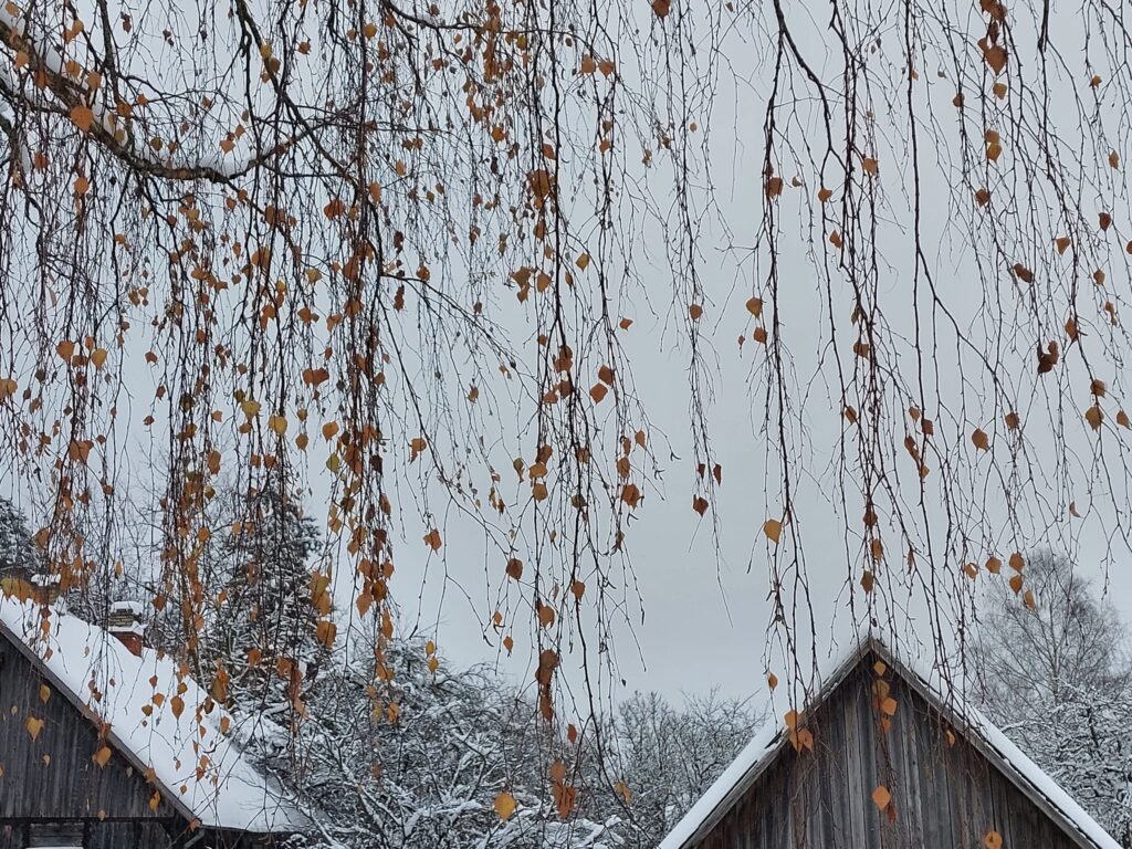 Dzirkstele.lv raksta attēla aizvietotājs