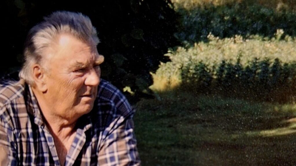 Dzirkstele.lv raksta attēla aizvietotājs