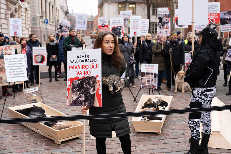 Dzirkstele.lv raksta attēla aizvietotājs