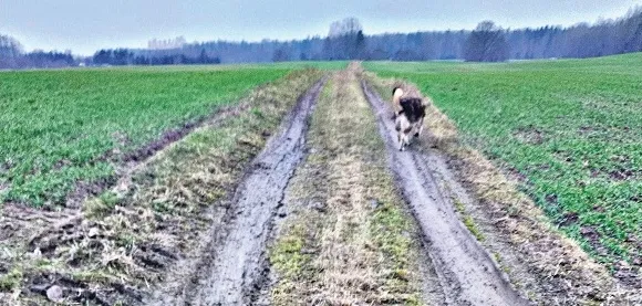Dzirkstele.lv raksta attēla aizvietotājs