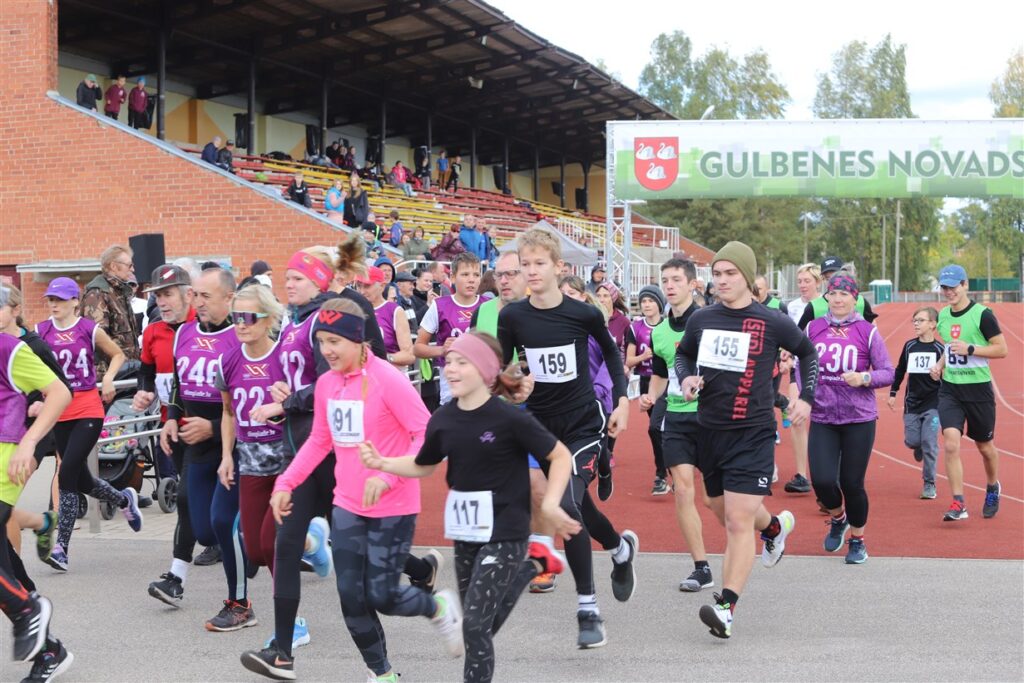 Dzirkstele.lv raksta attēla aizvietotājs