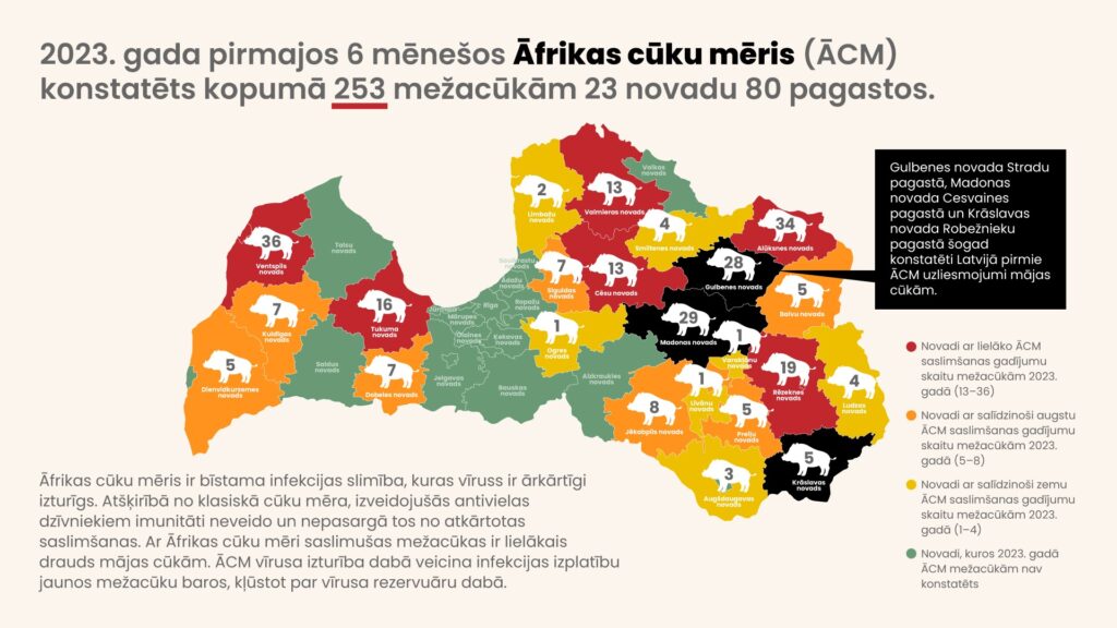 Dzirkstele.lv raksta attēla aizvietotājs