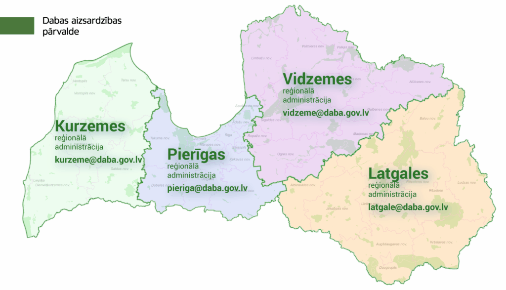 Dzirkstele.lv raksta attēla aizvietotājs