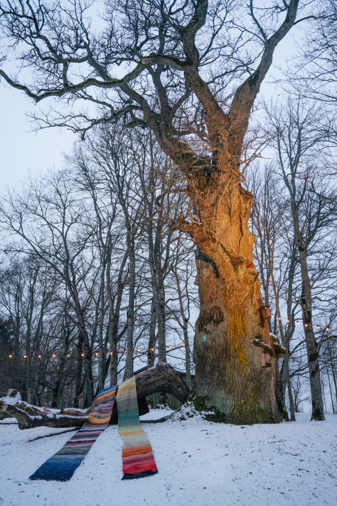 Dzirkstele.lv raksta attēla aizvietotājs