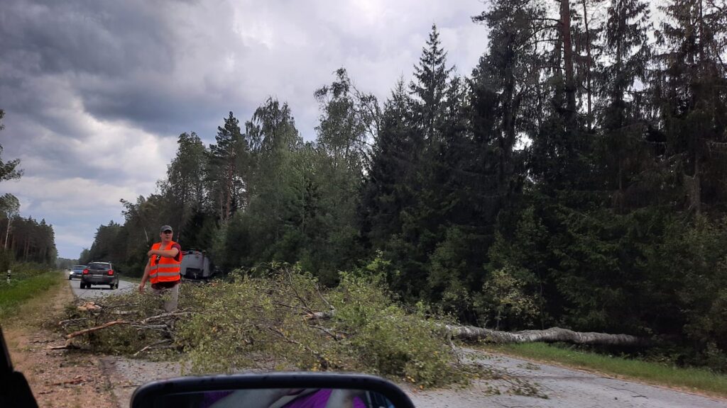 Dzirkstele.lv raksta attēla aizvietotājs