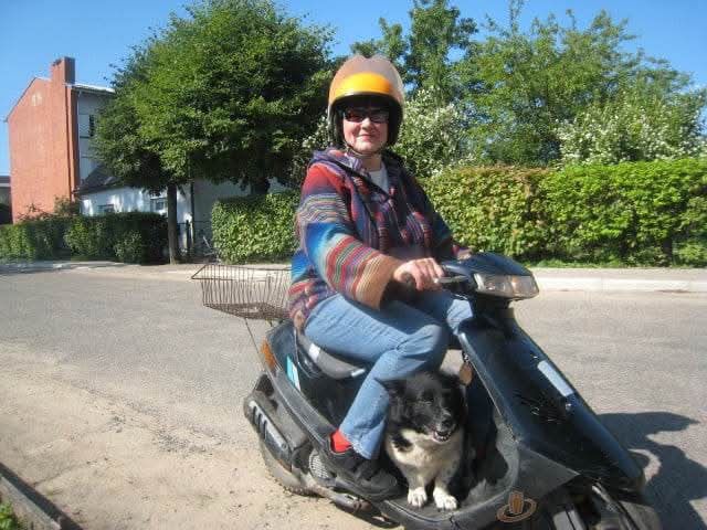 DIĀNA ZĀLĪTE PIE MOTOROLLERA STŪRES, lai kopā ar savu suņuku Lāci dotos uz mežu ogot un sēņot.
Autors: Foto: no personiskā arhīva