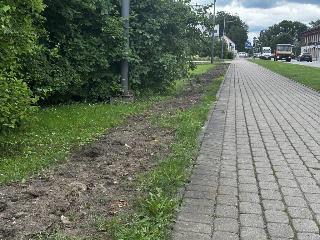 Dzirkstele.lv raksta attēla aizvietotājs