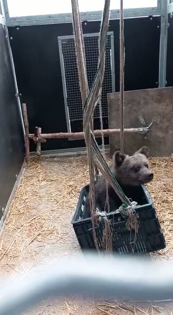 Dzirkstele.lv raksta attēla aizvietotājs
