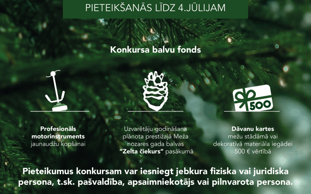 Dzirkstele.lv raksta attēla aizvietotājs