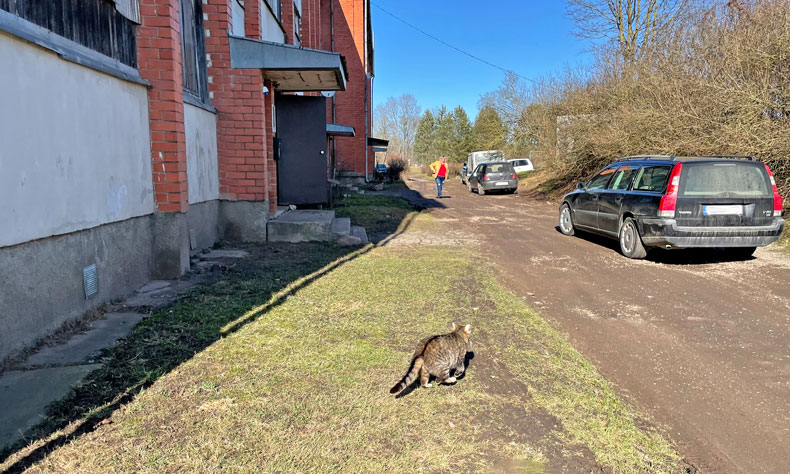Dzirkstele.lv raksta attēla aizvietotājs