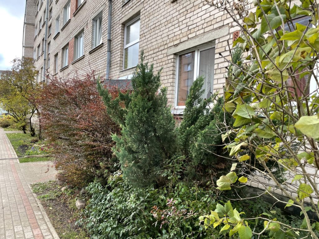 Dzirkstele.lv raksta attēla aizvietotājs