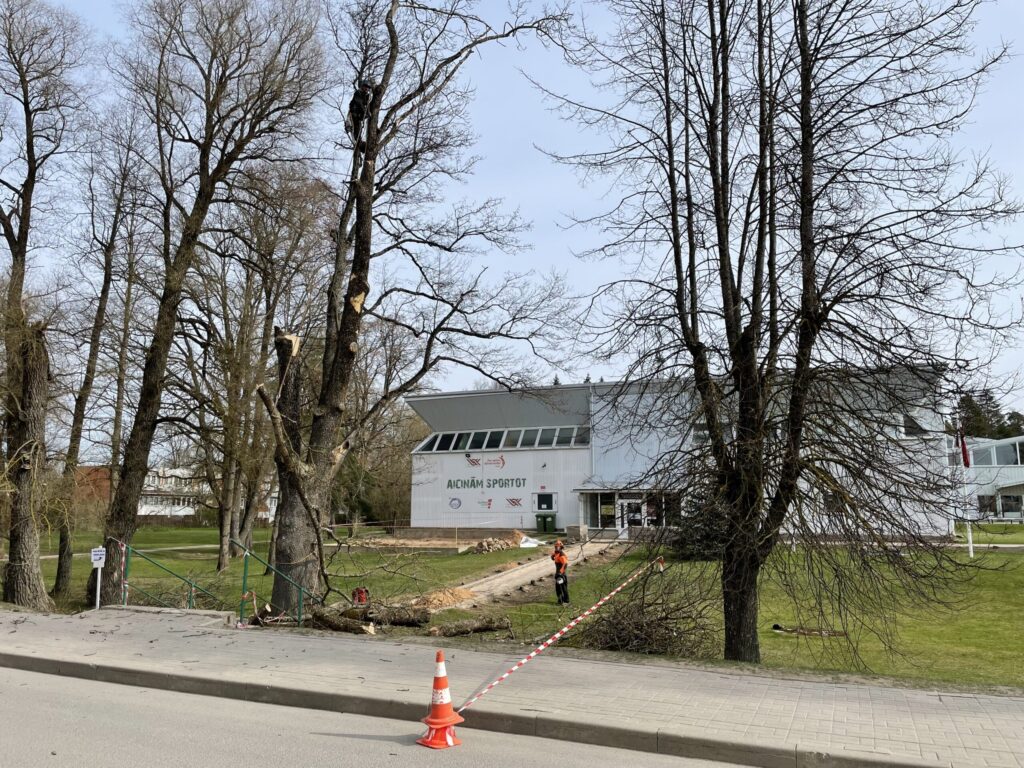 Dzirkstele.lv raksta attēla aizvietotājs