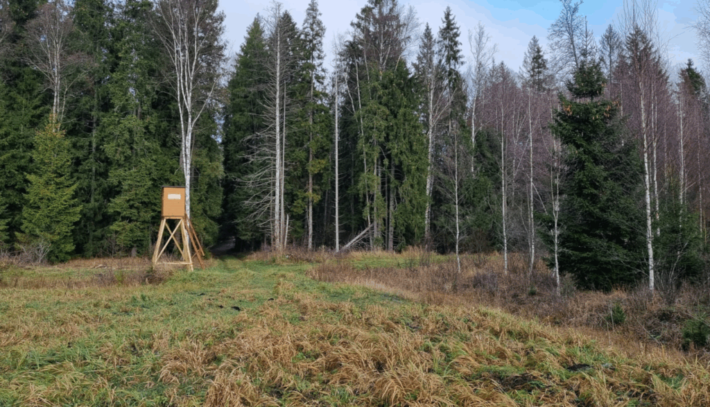Dzirkstele.lv raksta attēla aizvietotājs