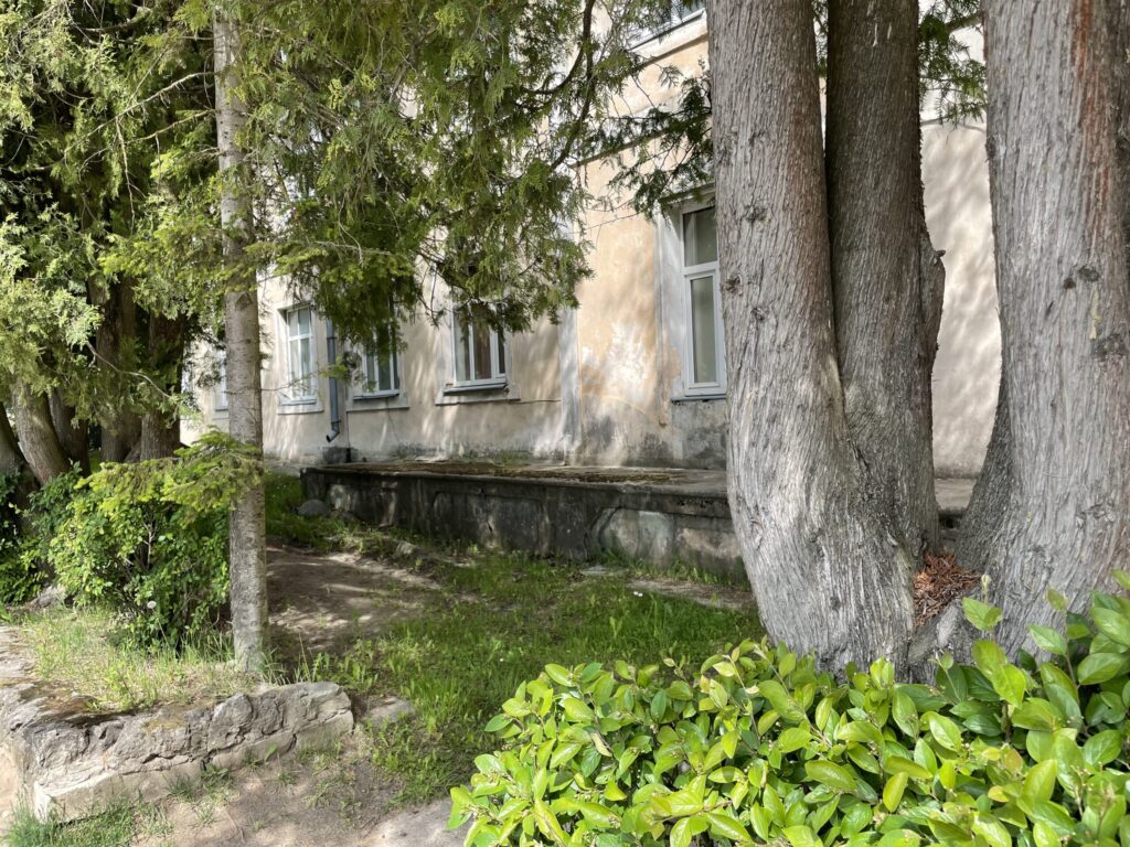 Dzirkstele.lv raksta attēla aizvietotājs
