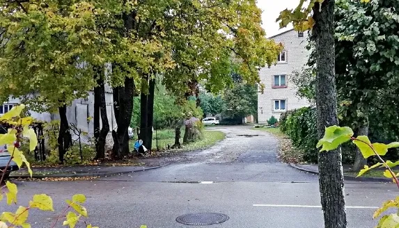 Dzirkstele.lv raksta attēla aizvietotājs