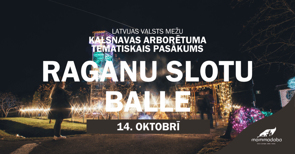 Dzirkstele.lv raksta attēla aizvietotājs