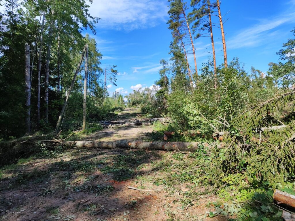 Dzirkstele.lv raksta attēla aizvietotājs