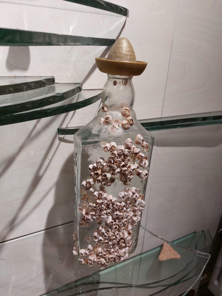 Autors: Foto: Pārsla Konrāde