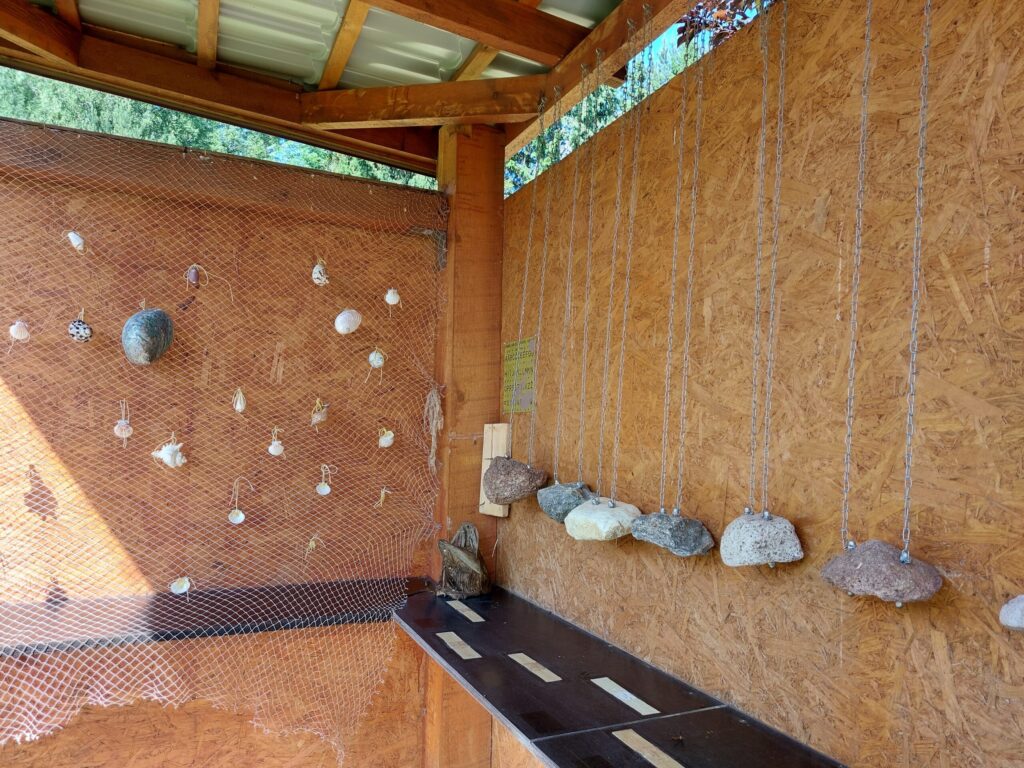Autors: Foto: Pārsla Konrāde