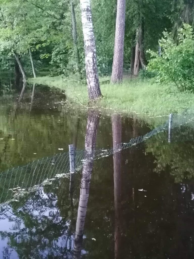 Dzirkstele.lv raksta attēla aizvietotājs