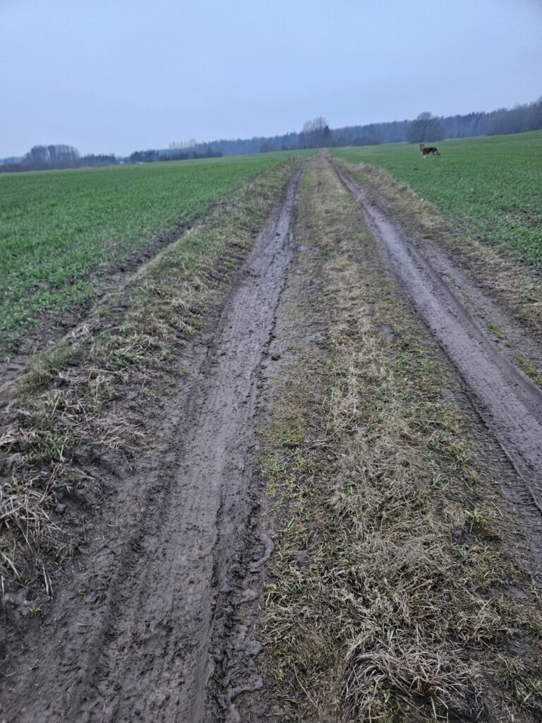Dzirkstele.lv raksta attēla aizvietotājs