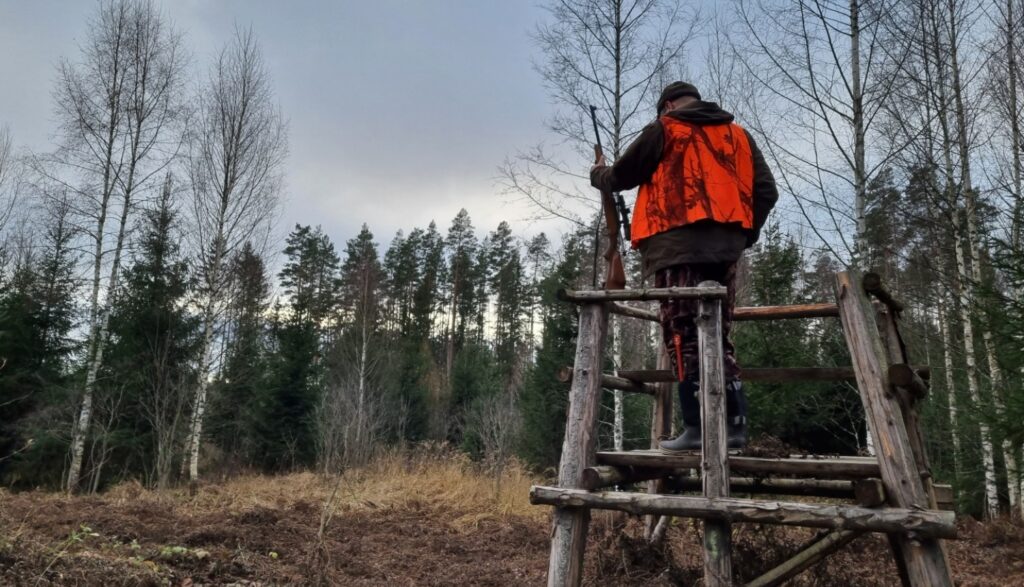 Dzirkstele.lv raksta attēla aizvietotājs