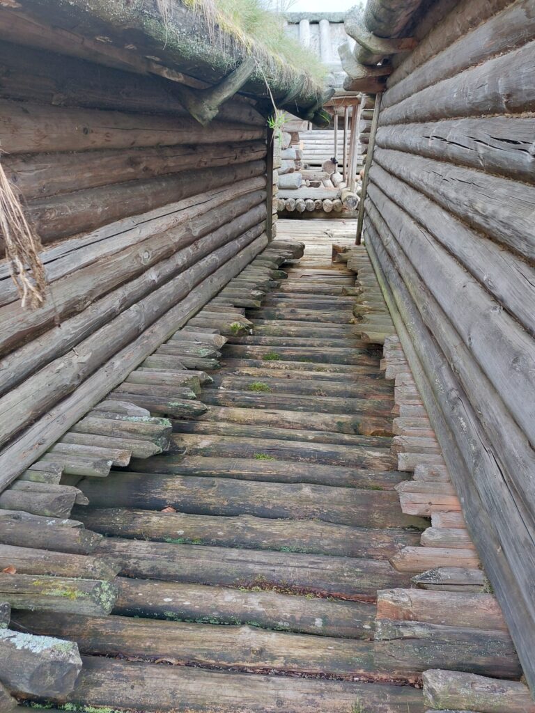 Autors: Foto: Pārsla Konrāde