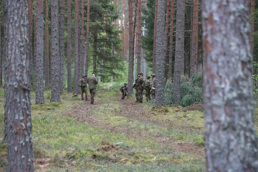 Dzirkstele.lv raksta attēla aizvietotājs