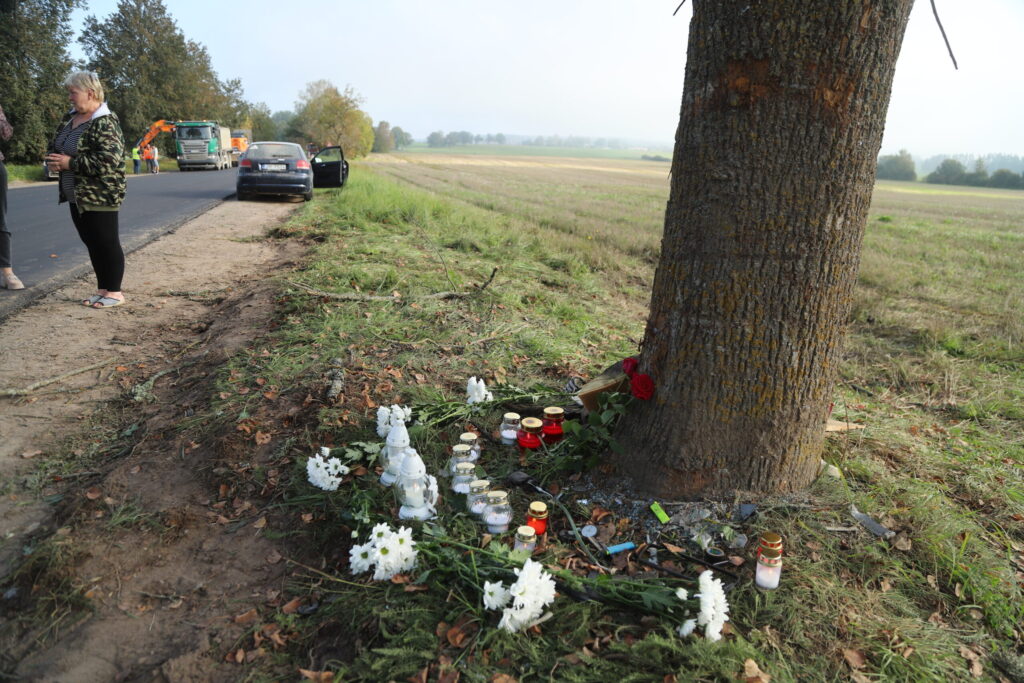 Dzirkstele.lv raksta attēla aizvietotājs