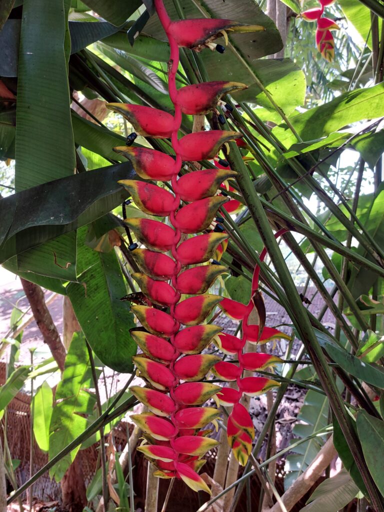 Autors: Foto: Pārsla Konrāde