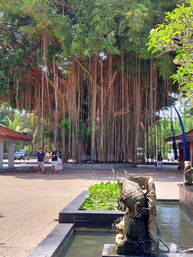 BALI DABA ir klātesoša visur. Daudzās viesnīcās pa sienām skraida gekoniņi, ir arī čūskas.
Autors: Foto: Pārsla Konrāde