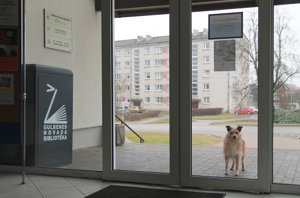 Dzirkstele.lv raksta attēla aizvietotājs
