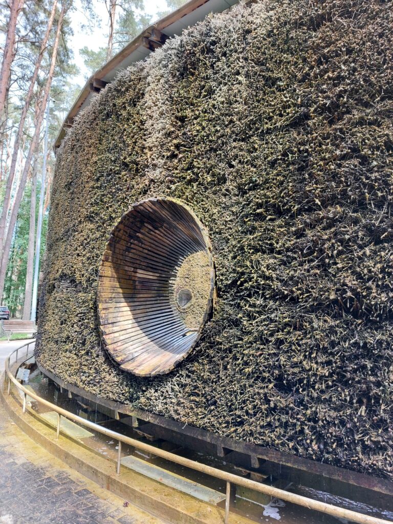 Autors: Foto: Pārsla Konrāde