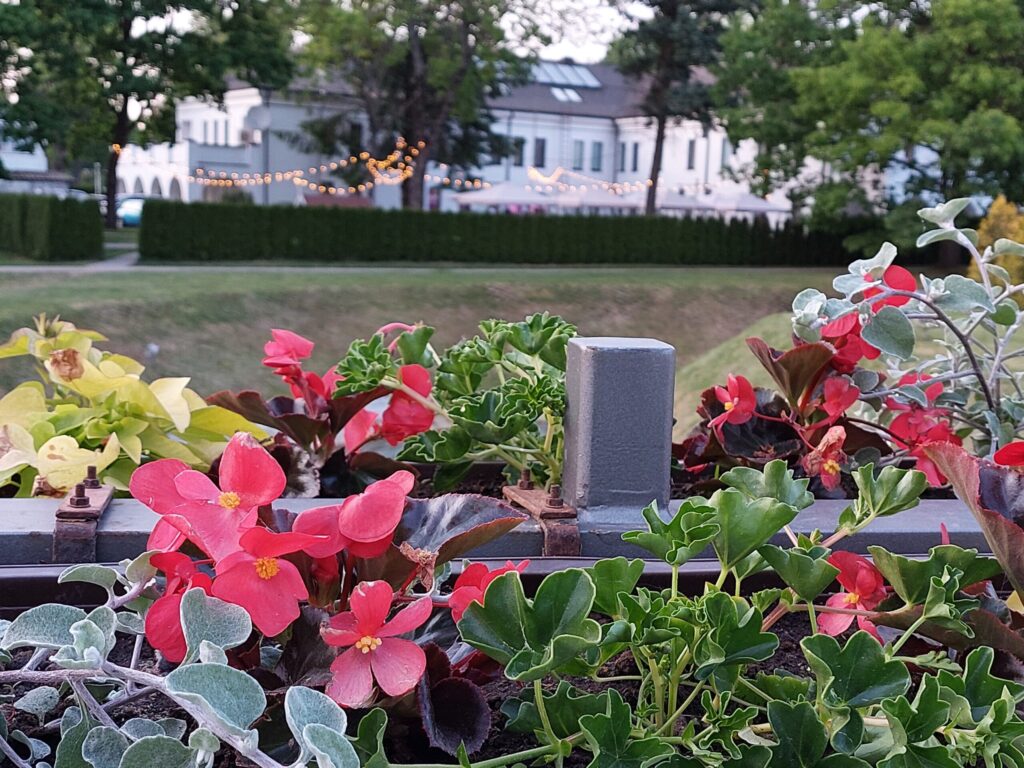 Autors: Foto: Pārsla Konrāde