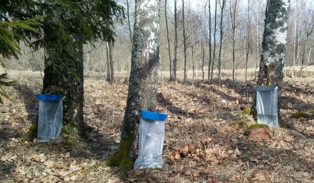 Dzirkstele.lv raksta attēla aizvietotājs
