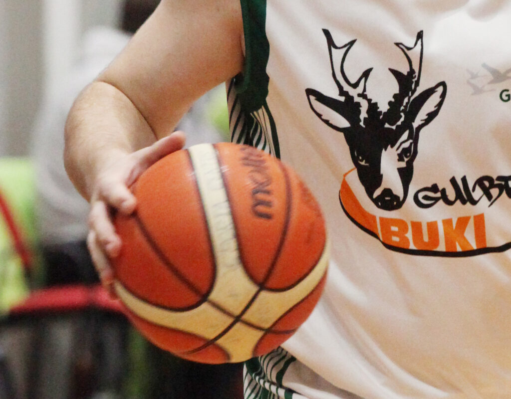 Dzirkstele.lv raksta attēla aizvietotājs
