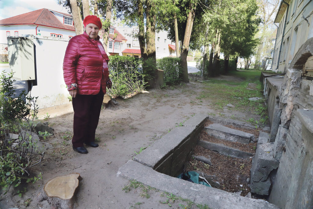 Gada koks – tūja. Gulbenē, Rīgas ielā 66, tūjas tā saaugušas, ka aizsedz sauli iedzīvotājiem, par to sūdzējās vieni, citiem veco tūju bija žēl, ieskaitot arī atbildīgos pašvaldībā. Beigās tūjas tikai apgraizīja, un tās turpina dzīvot un, kas zina, saaugs vēl biezāk.  
Autors: Foto: no “Dzirksteles” arhīva