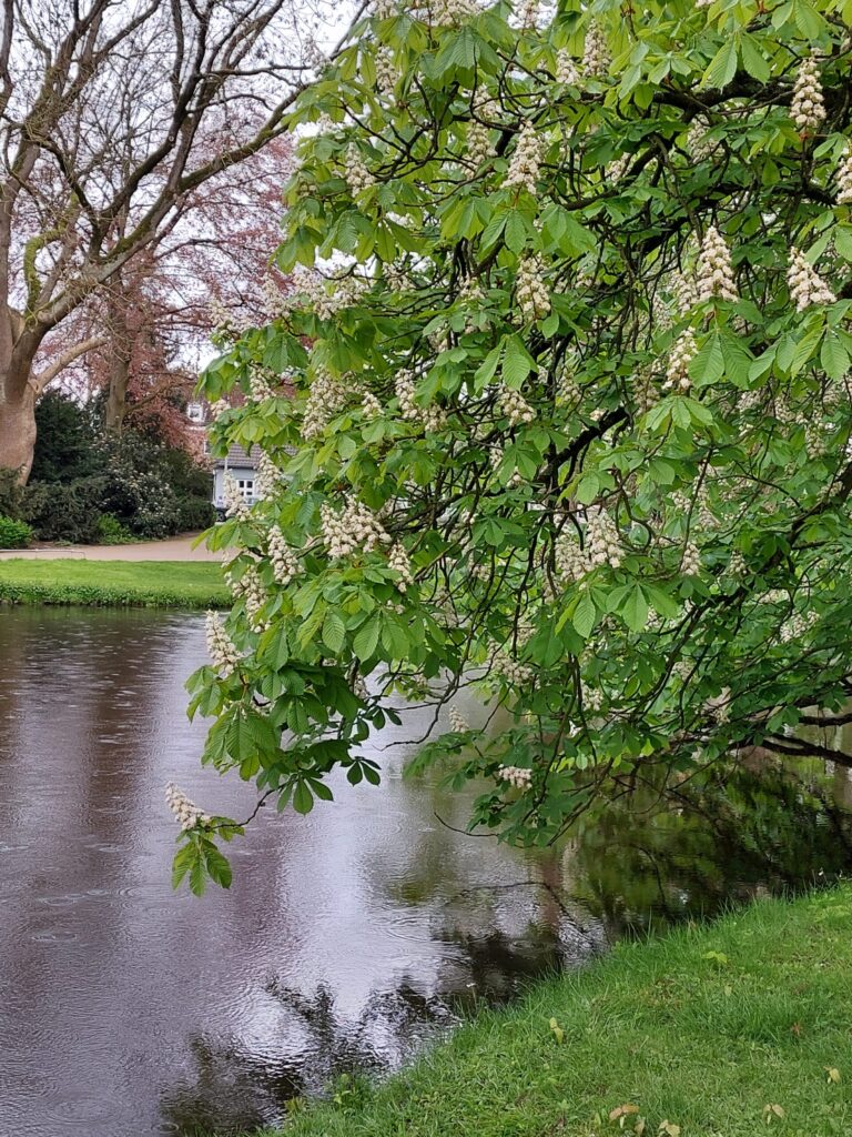 Autors: Foto: Pārsla Konrāde